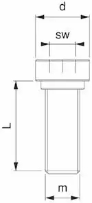 Mouldpro Inbus Bolt (Hex Head Bolt) for Power Sliding Mold Clamps